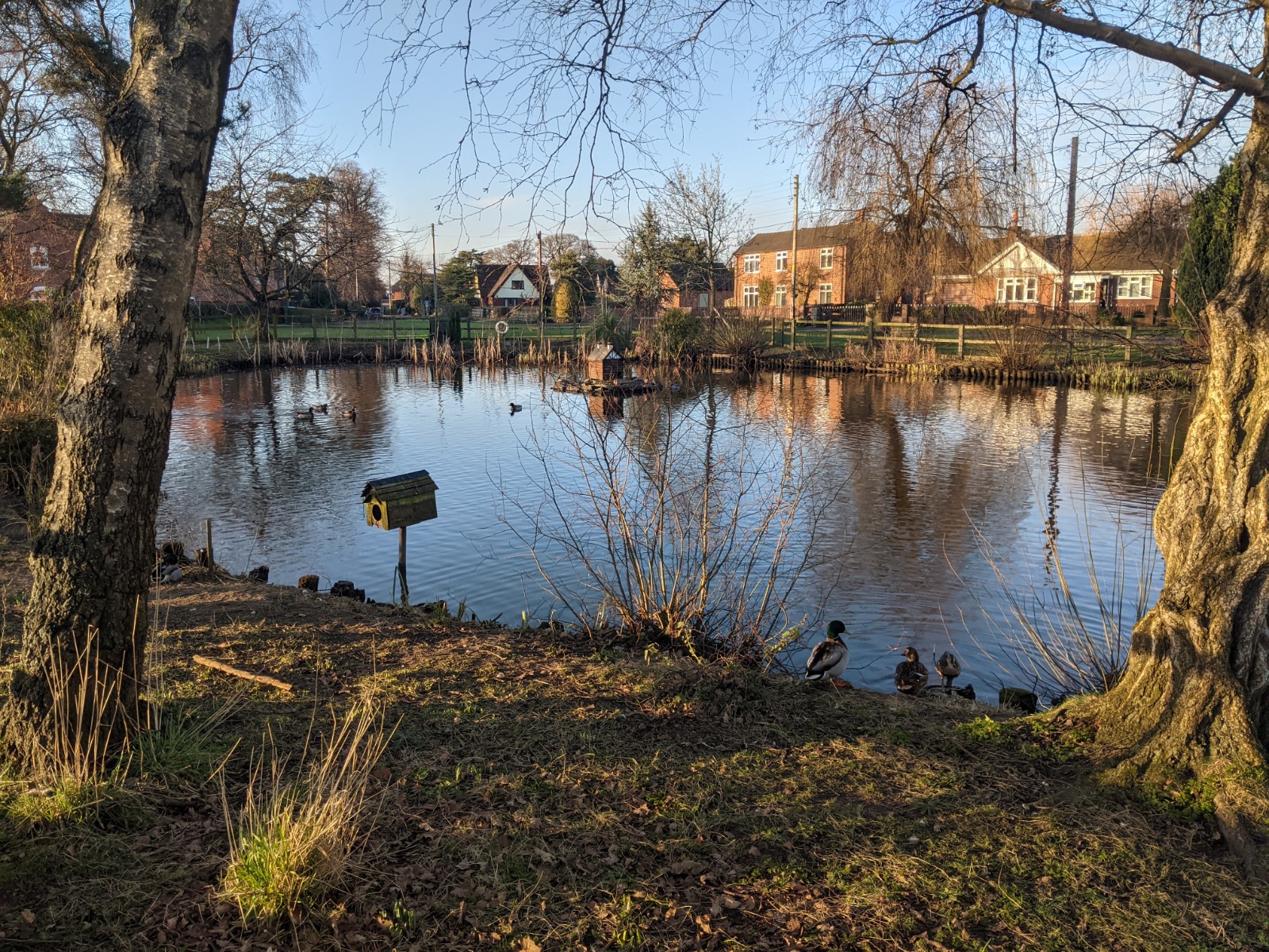 Back to normal water level, February 1st